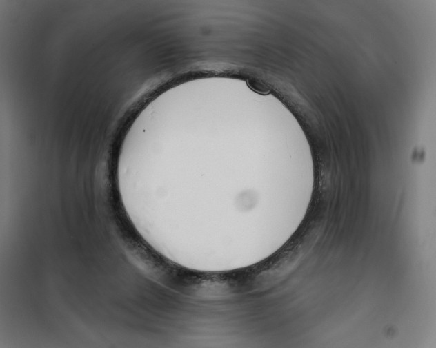 X0000101180256200807250946