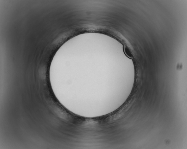 X0000101180257200807250946