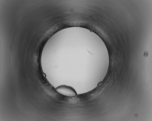 X0000101180258200807250946