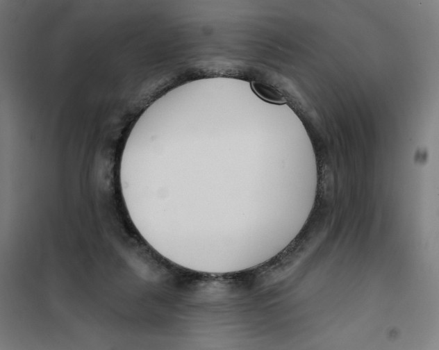 X0000101180259200807250946