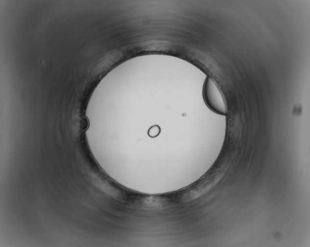 X0000101180261200807250946