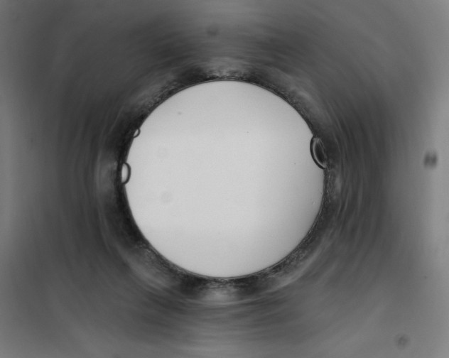 X0000101180263200807250946