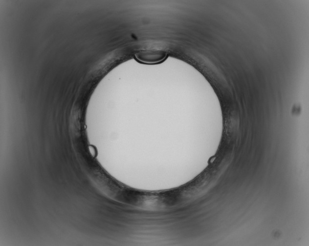 X0000101180264200807250946