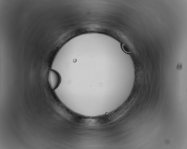 X0000101180265200807250946