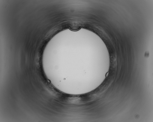 X0000101180266200807250946