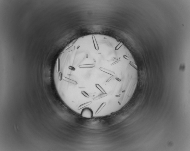 X0000101180267200807250946