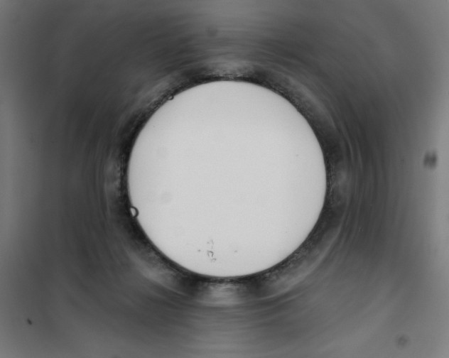 X0000101180268200807250946