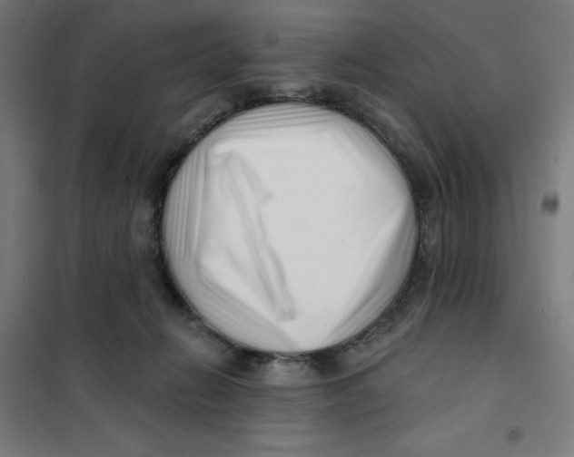 X0000101180270200807250946