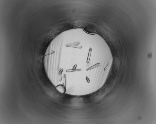 X0000101180271200807250947