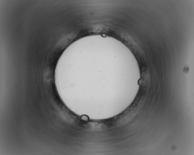 X0000101180272200807250947