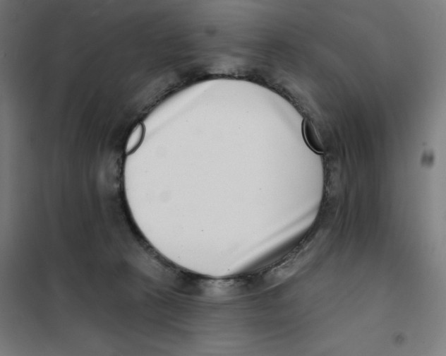 X0000101180273200807250947