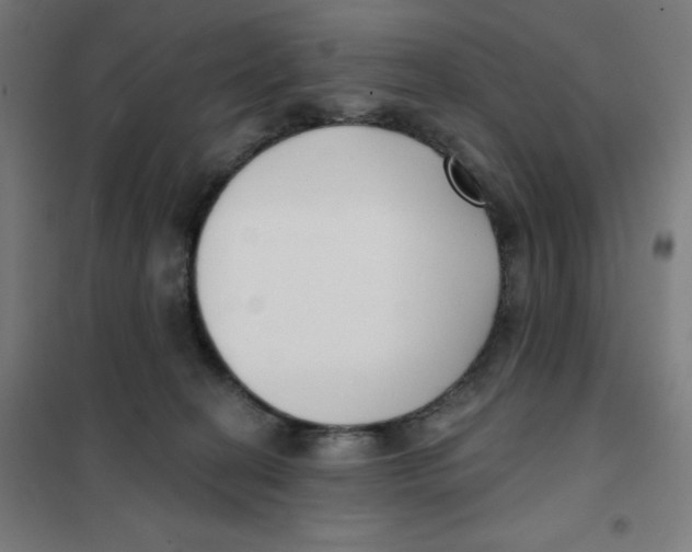 X0000101180274200807250947