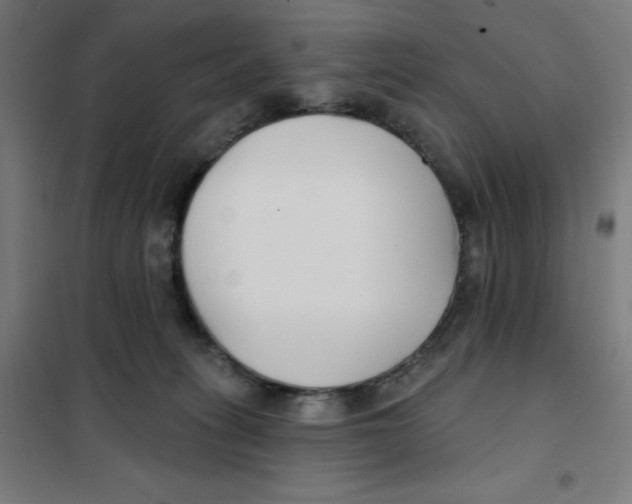 X0000101180275200807250947