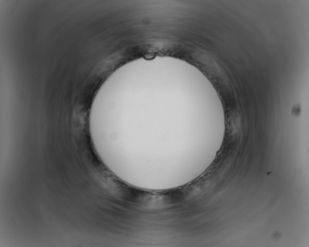 X0000101180276200807250947