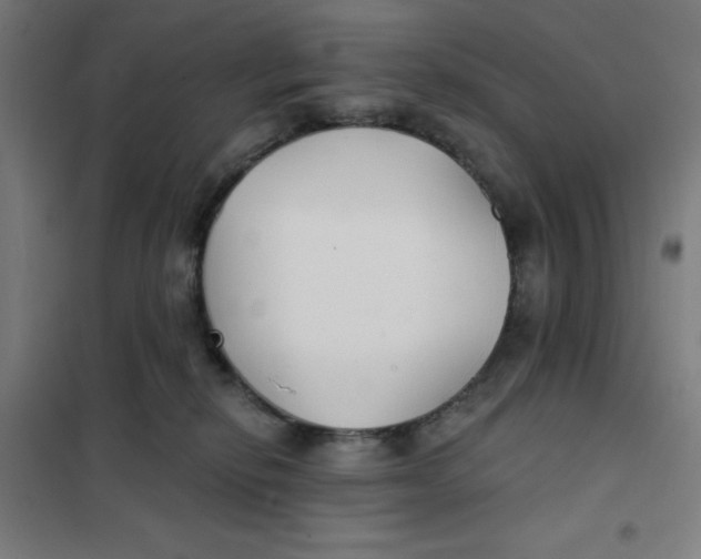 X0000101180278200807250947