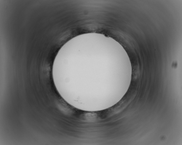 X0000101180279200807250947