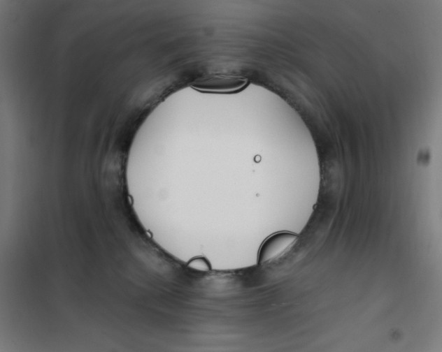 X0000101180280200807250947