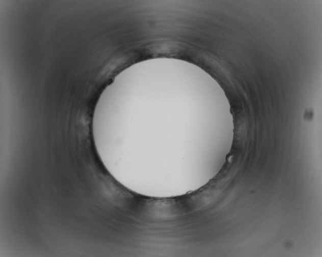 X0000101180282200807250947