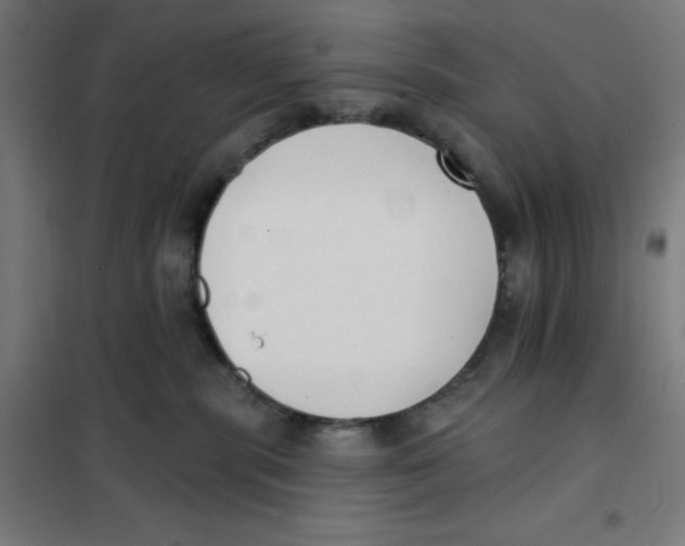 X0000101180283200807250947