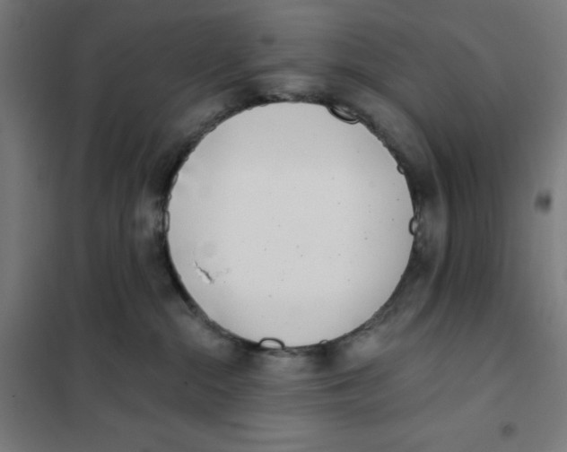 X0000101180284200807250947