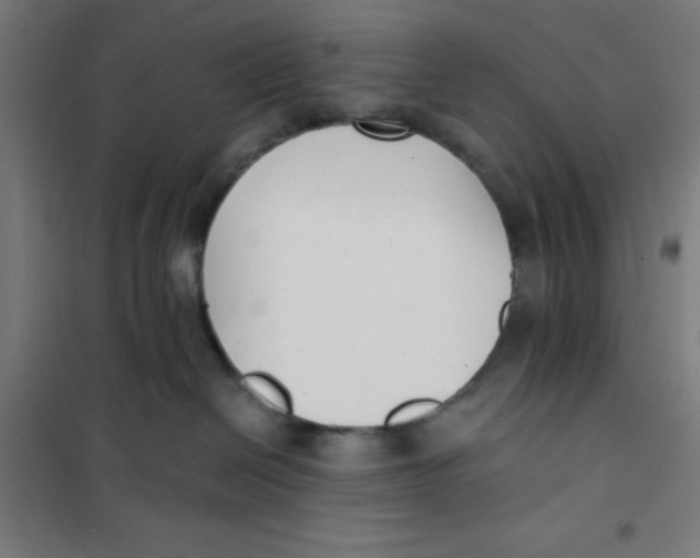 X0000101180286200807250947