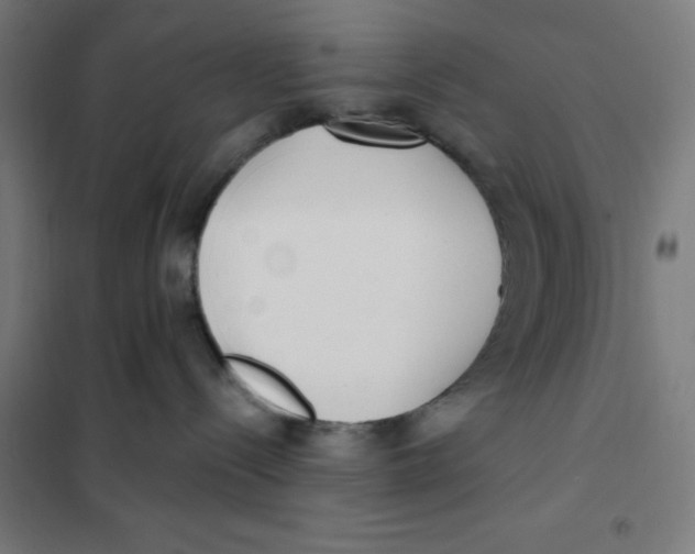 X0000101180288200807250947