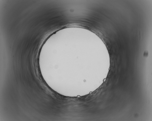 X0000101180289200807250946