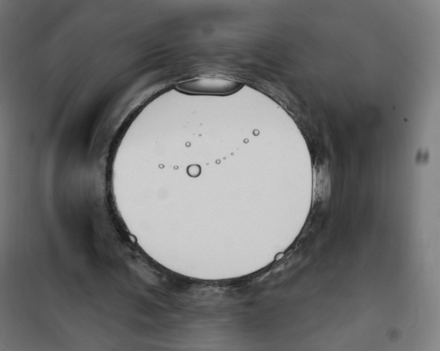 X0000101180291200807250946