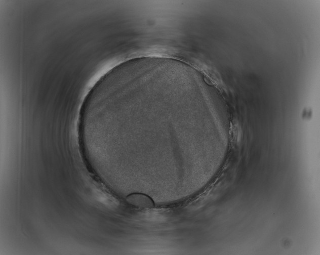 X0000101180292200807250946