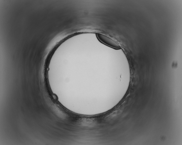 X0000101180296200807250946