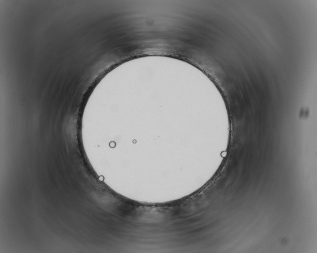 X0000101180297200807250946