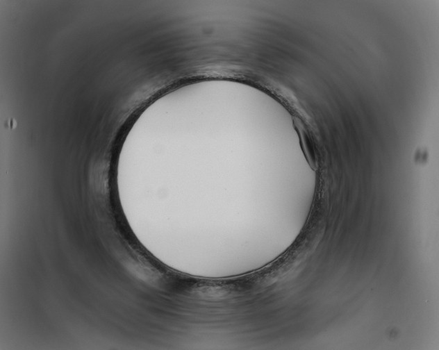 X0000101180299200807250946