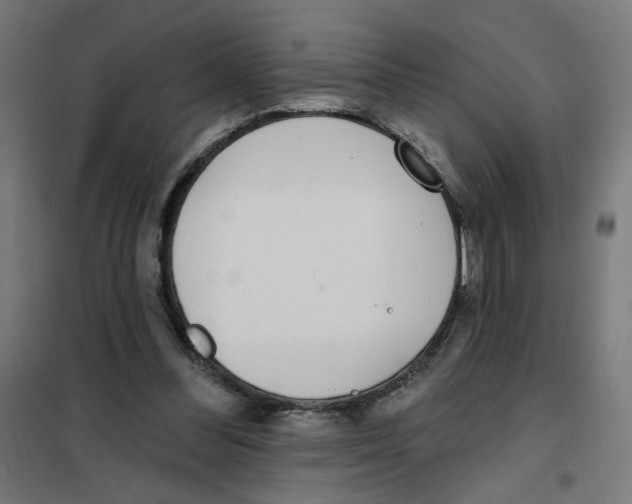 X0000101180300200807250946