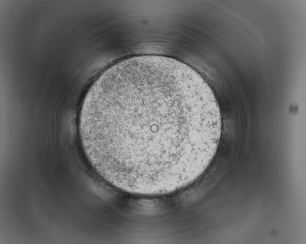 X0000101180302200807250946