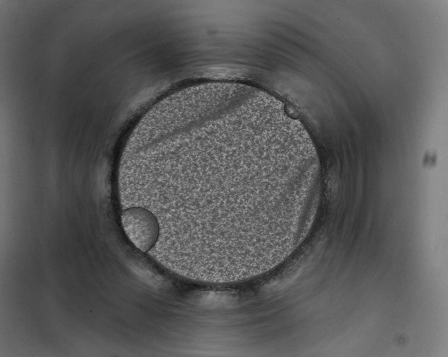 X0000101180303200807250946