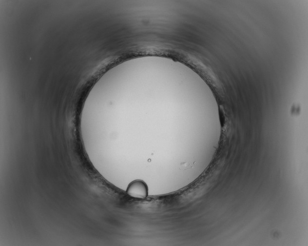 X0000101180306200807250946