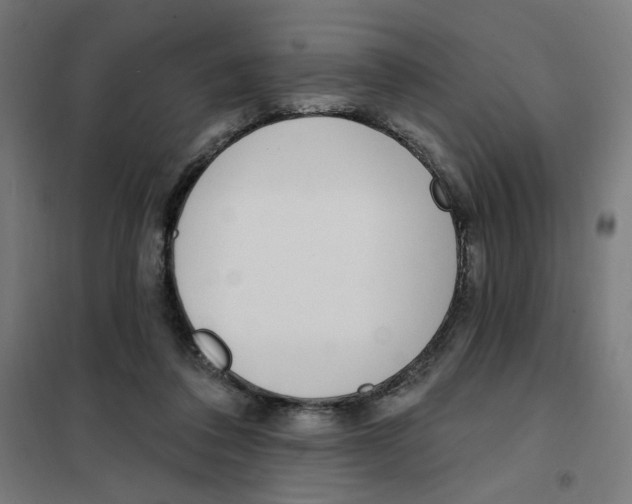 X0000101180308200807250946