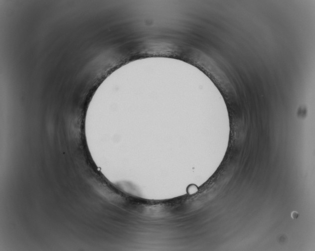 X0000101180309200807250946