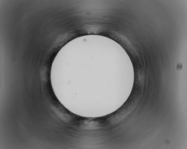 X0000101180311200807250946