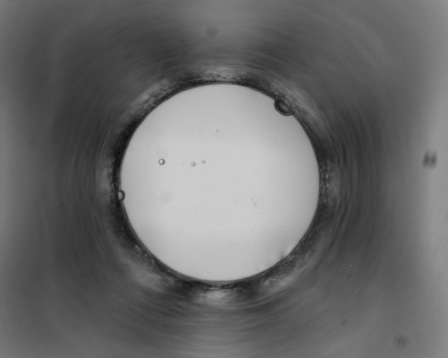 X0000101180312200807250946