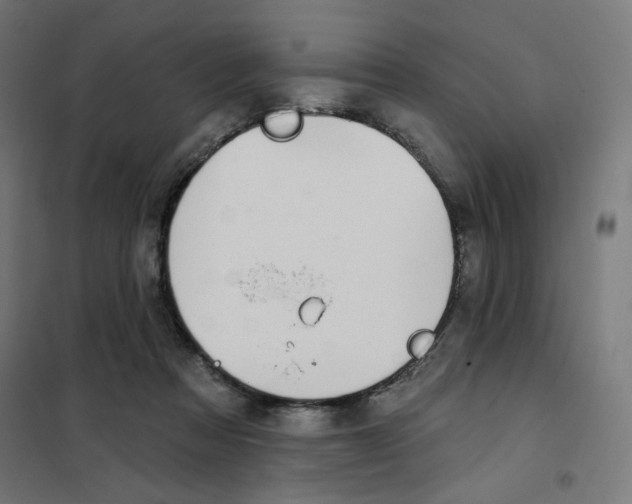 X0000101180313200807250946