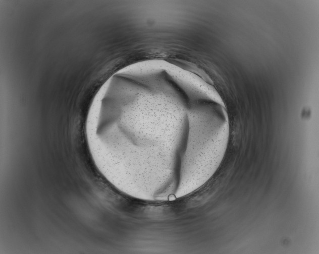 X0000101180314200807250946