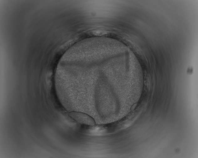 X0000101180319200807250946