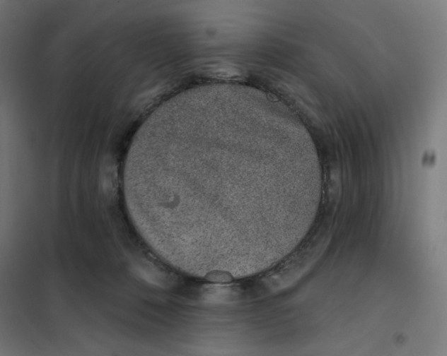 X0000101180320200807250945