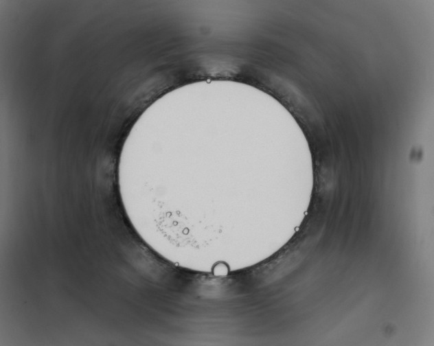 X0000101180321200807250945