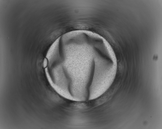 X0000101180322200807250945