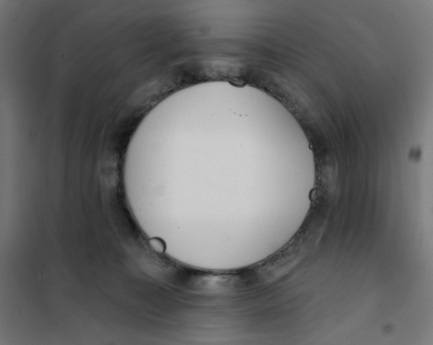 X0000101180323200807250945