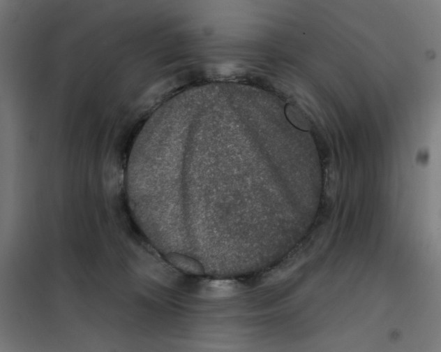 X0000101180324200807250945