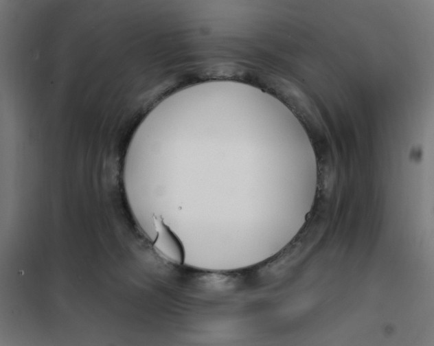 X0000101180326200807250945