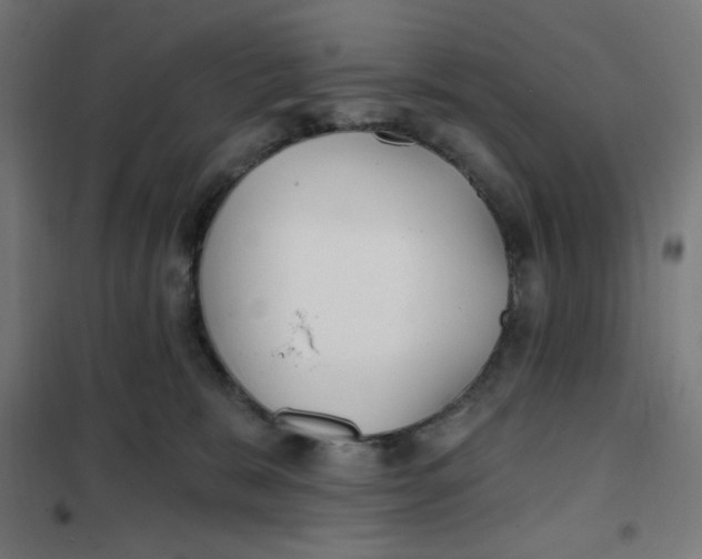 X0000101180327200807250945